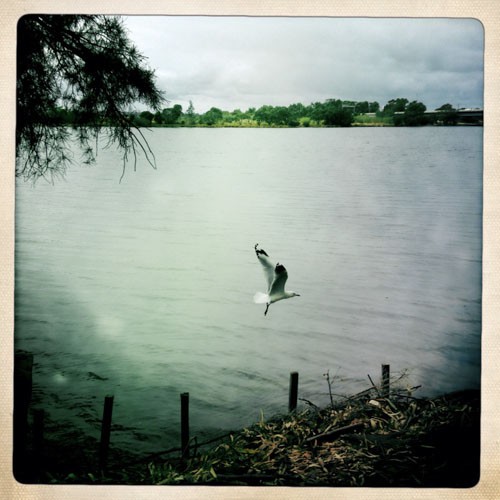 http://mail.charleskasprzak.com/files/gimgs/th-22_Charles_Kasprzak_PCP_Hipstamatic_Swan_River-12_v2.jpg